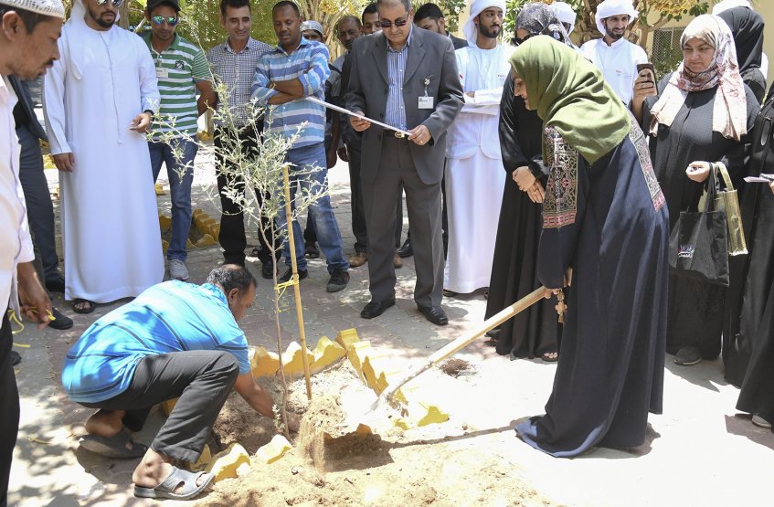Planting Al Ghaf tree at Al Ain Campus